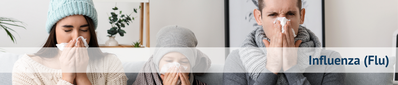 Influenza Flu Banner2.png