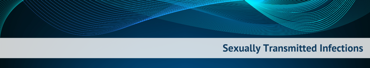 sti Banner.png